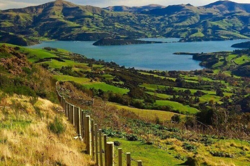 Akaroa Private Group Day Trip from Christchurch 1