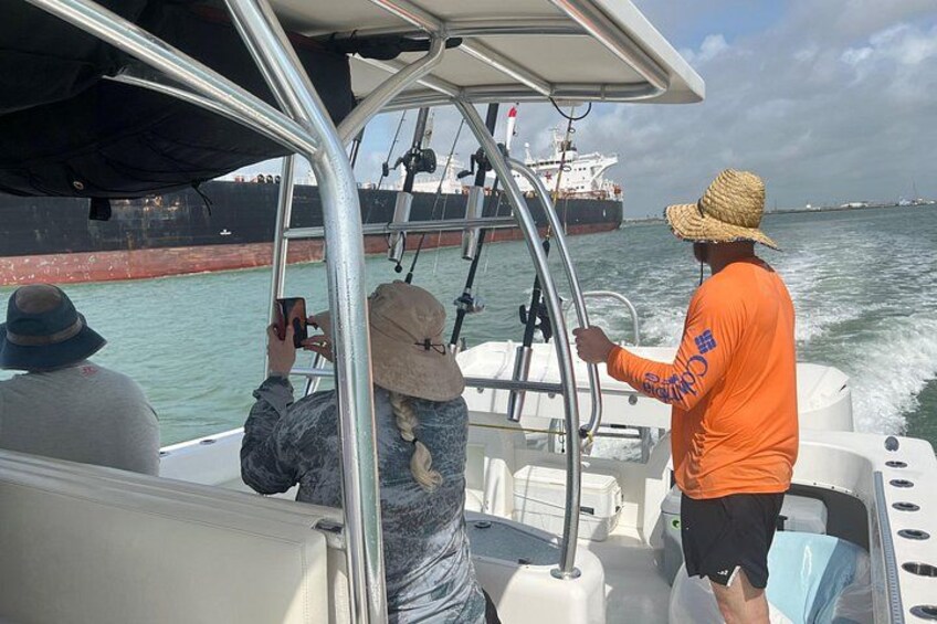 Private Dolphin Watch and Sunset Boat Tour Port Aransas Texas 3