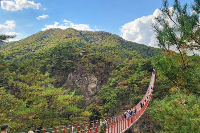 A cable car winding through a mountainous landscape with lush greenery and a clear sky. 5
