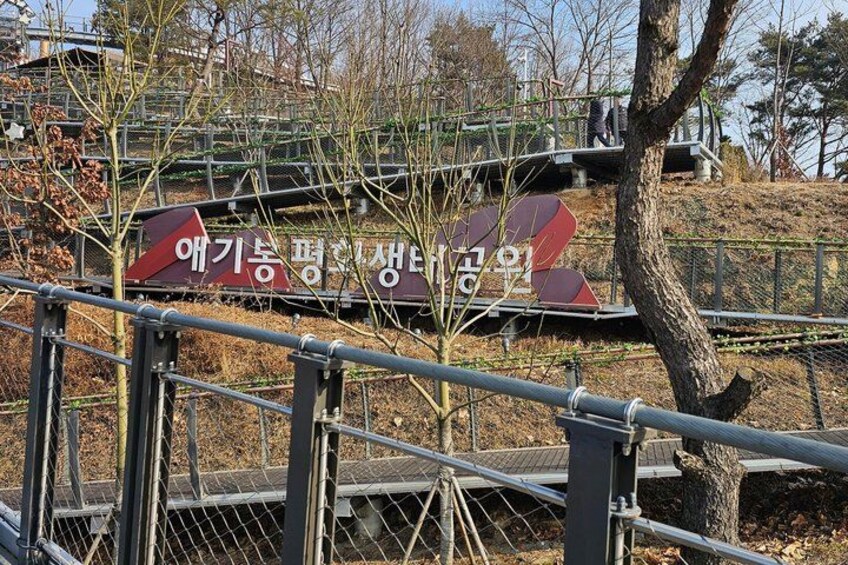 A sign with Korean text, a metal fence, and a tree. 4