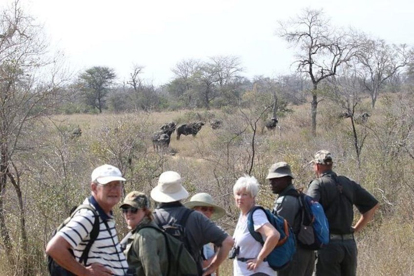 Kruger National Park 7-Day Safari with Game Drives, Hotels, Meals 5