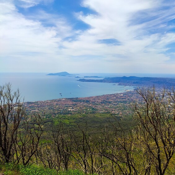 Pompeii: Mount Vesuvius Crater Transfer with Ticket 1