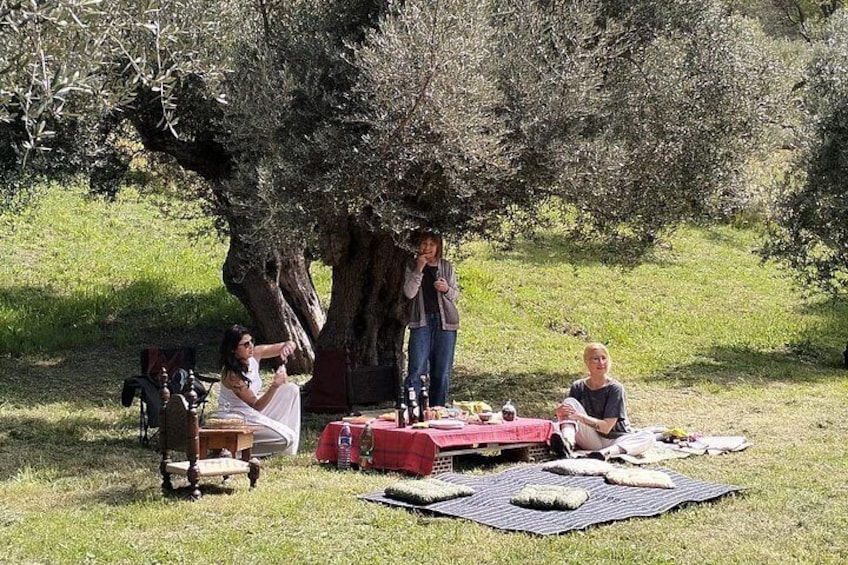 Un picnic bajo un árbol grande con gente sentada en una manta, una mesa roja con comida y una guitarra. 2