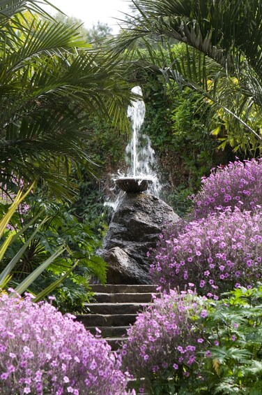 A waterfall cascading over a rock formation surrounded by lush greenery and purple flowers. 2