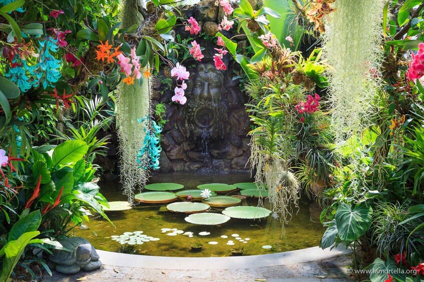 A lush garden with a stone fountain, vibrant orchids, and a pond with lily pads. 1