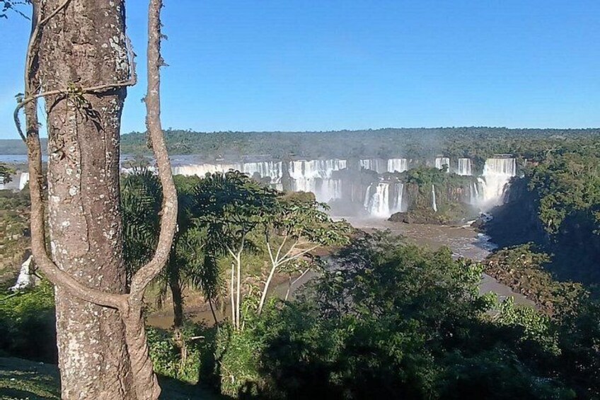 A waterfall cascading down a cliff surrounded by dense greenery. 3