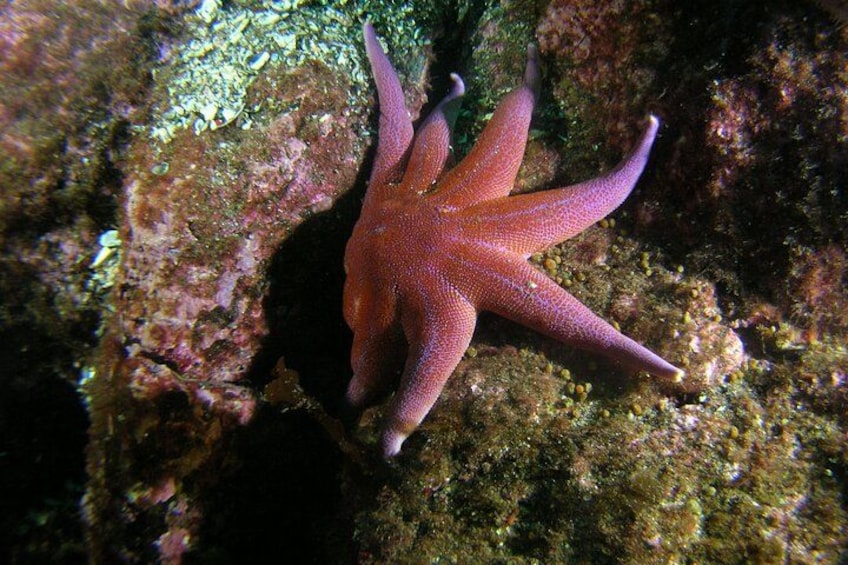 First Time Diver Scuba Experience 2
