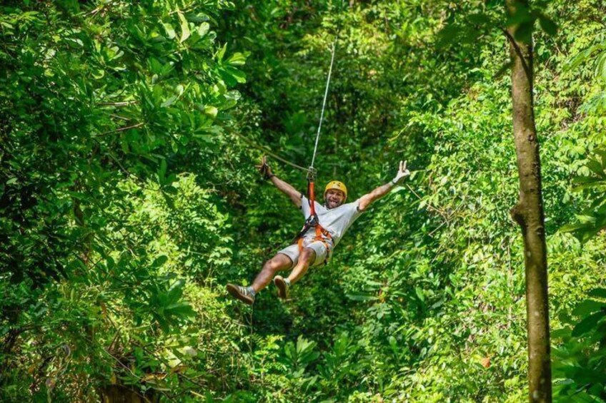 En person suser afsted i zipline gennem en tæt skov. 2
