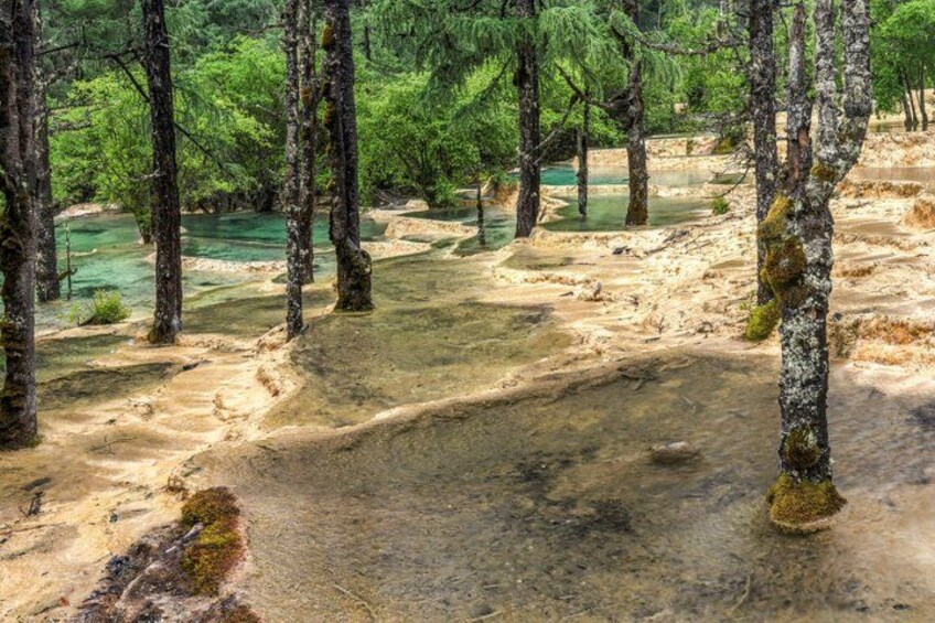 Huanglong Scenic Area Entry Ticket (Optional Cable Car/Golf Cart) 3