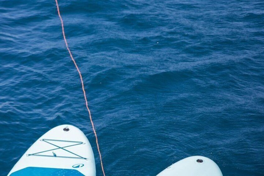 Two surfboards tethered to a red line in the water. 5