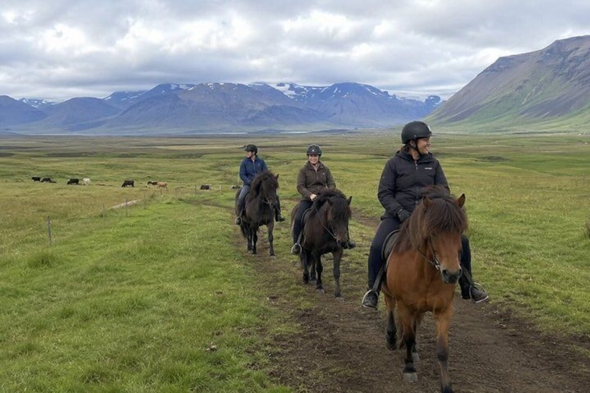 Trois personnes à cheval dans un champ verdoyant, avec des montagnes en arrière-plan. 5