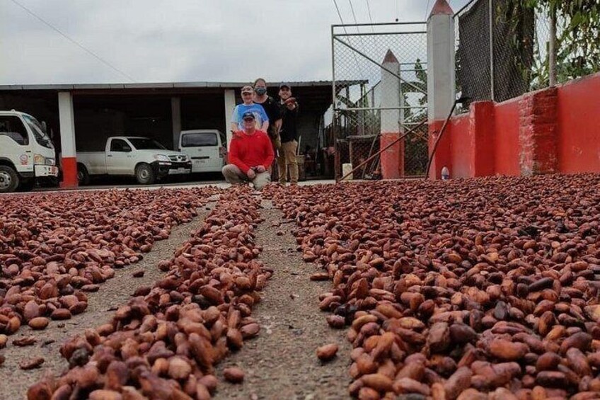Cocoa and Tropical Fruits Farm with Fine Chocolate Experience 2