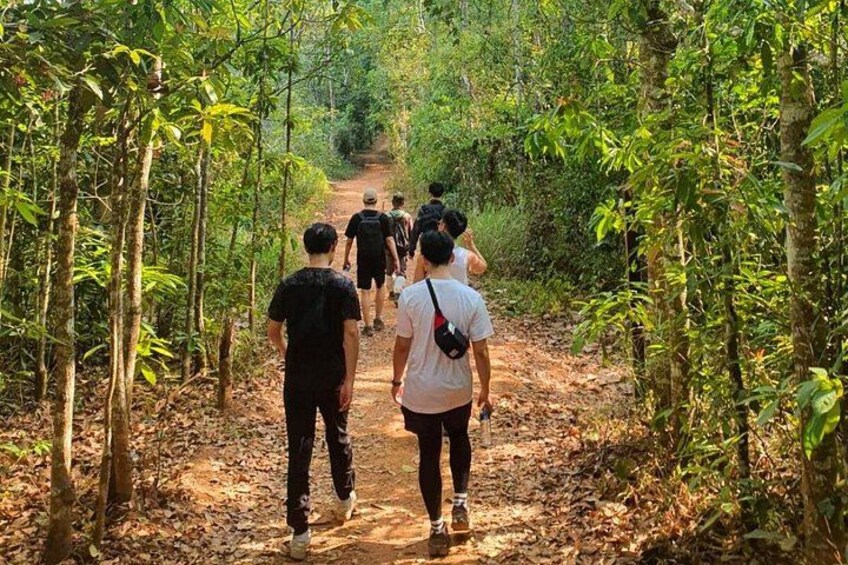 A group of people walking on a forest path surrounded by trees. 3