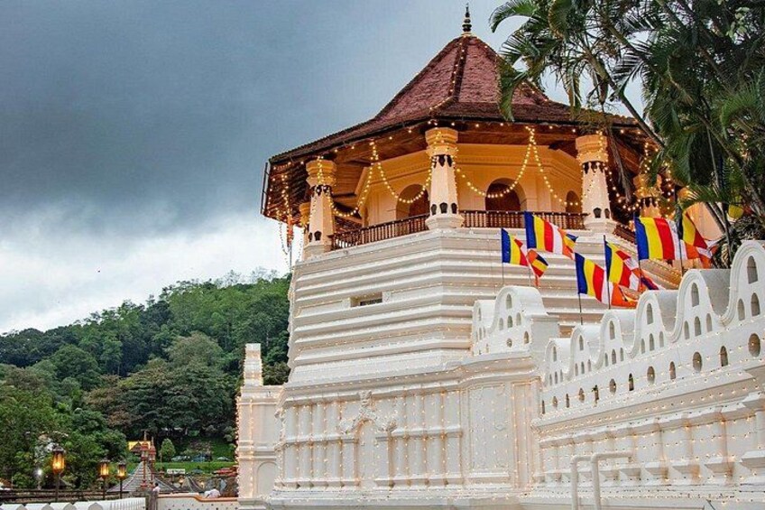 4 Days Sri Lanka Highlights Multi Day Tour 4