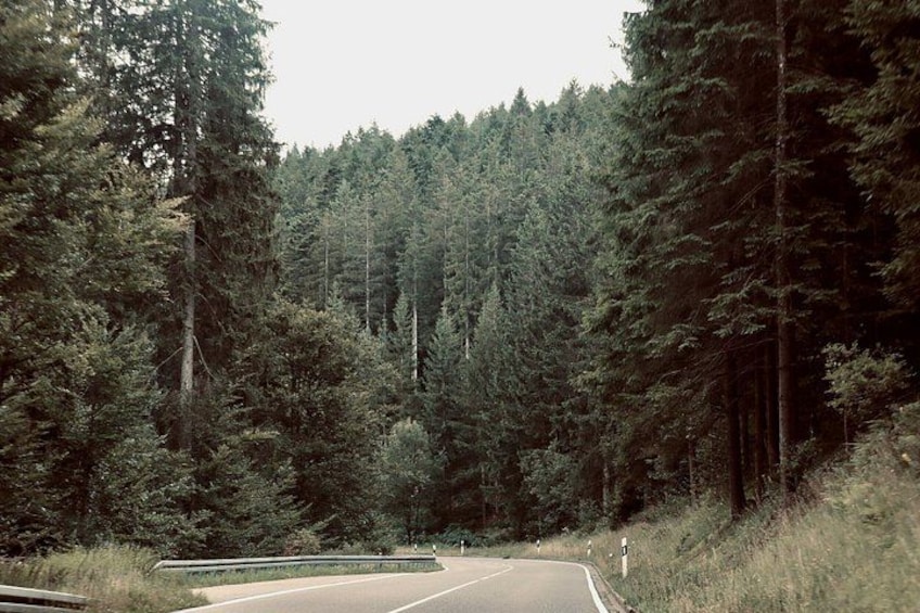 Black Forest road 2