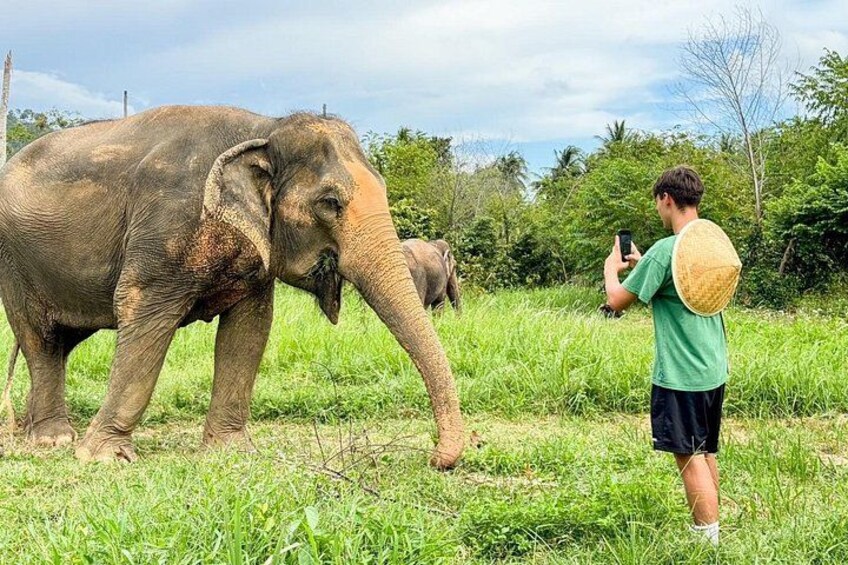 Half Day Elephant Home Sanctuary in Samui 5