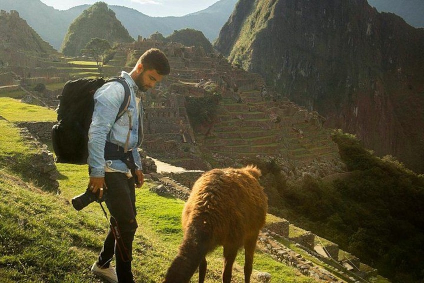 A person with a camera and a backpack, standing on a grassy hill overlooking ancient ruins. 3