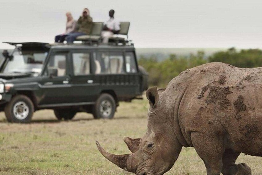 A rhinoceros in a field with a safari vehicle in the background. 2