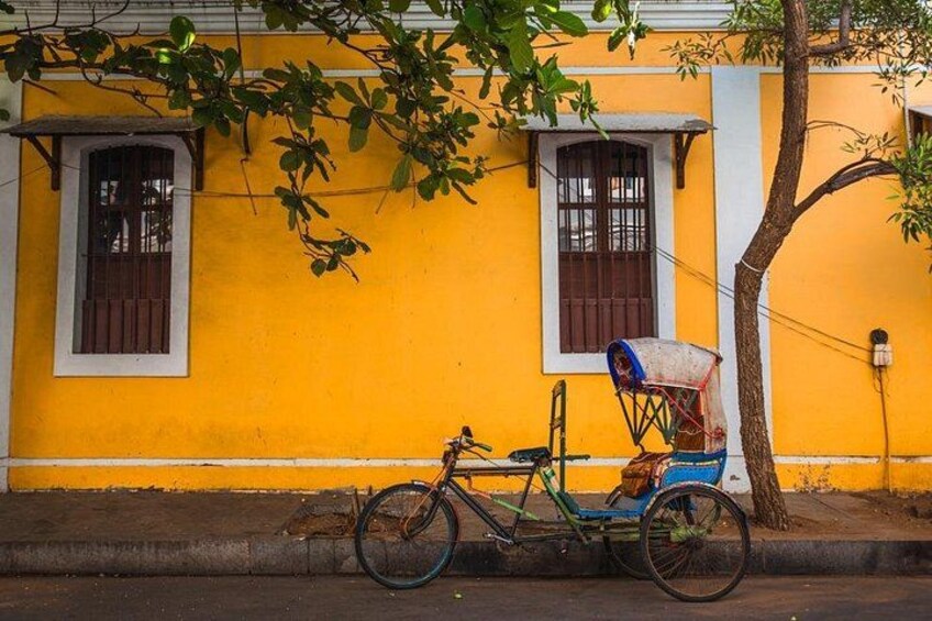 A yellow building with two windows, a bicycle with a colorful basket, and a tree. 1