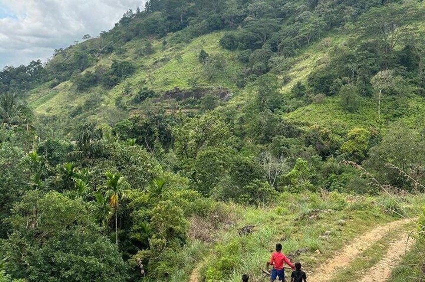 Knuckles Spice Trail Trek from Kandy 4