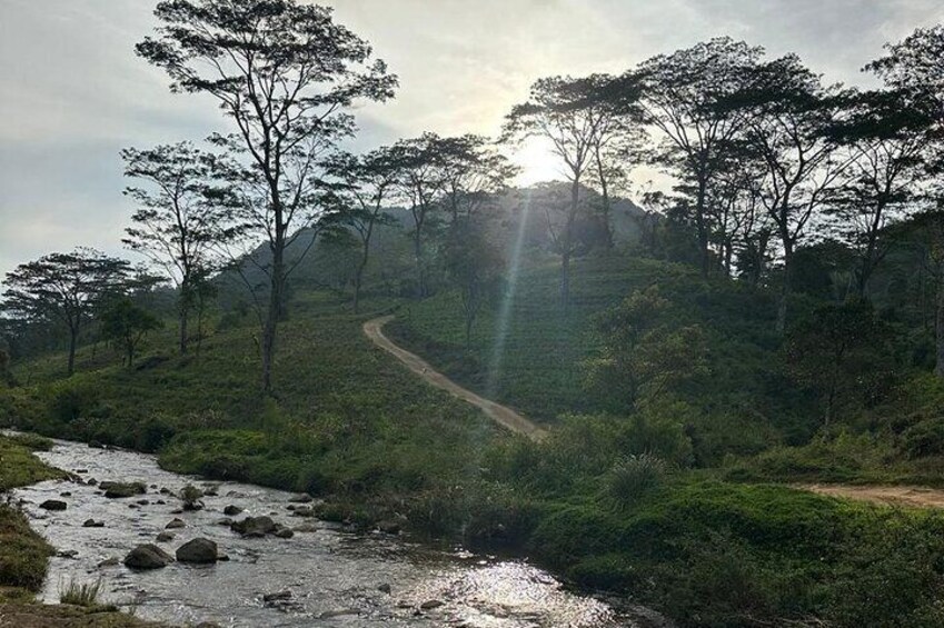 Knuckles Spice Trail Trek from Kandy 3