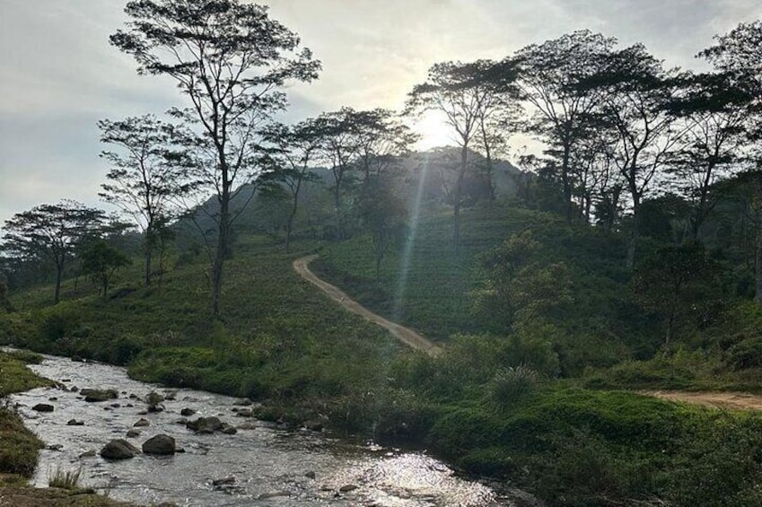 Knuckles Spice Trail Trek from Kandy 3