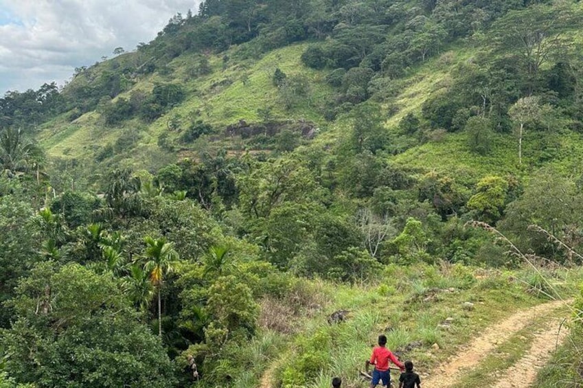 Knuckles Spice Trail Trek from Kandy 4