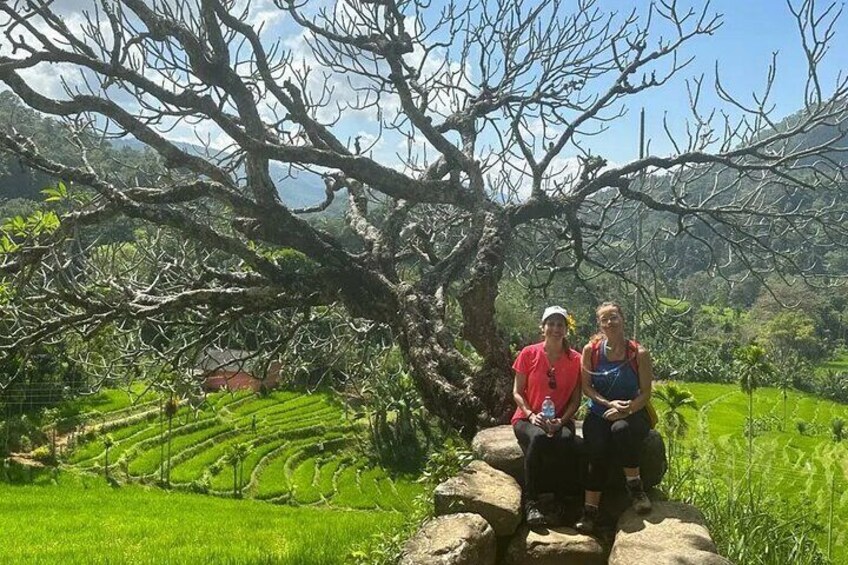 Twee personen zitten op rotsen onder een grote boom in een groen landschap met terrassen. 3