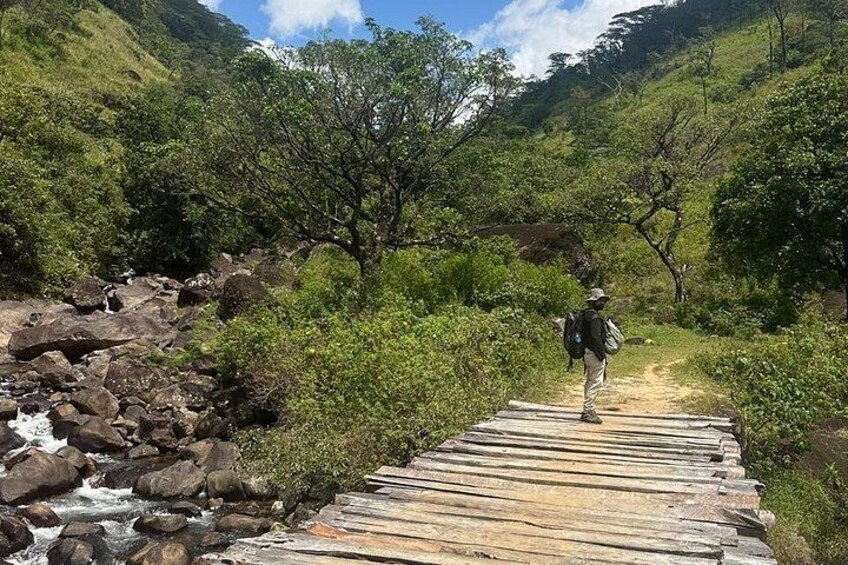 Knuckles Spice Trail Trek from Kandy 3