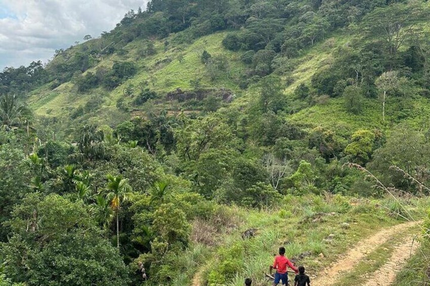 Knuckles Spice Trail Trek from Kandy 4