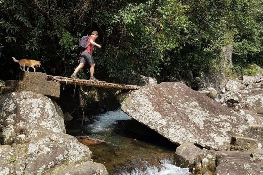 Knuckles Spice Trail Trek from Kandy 3