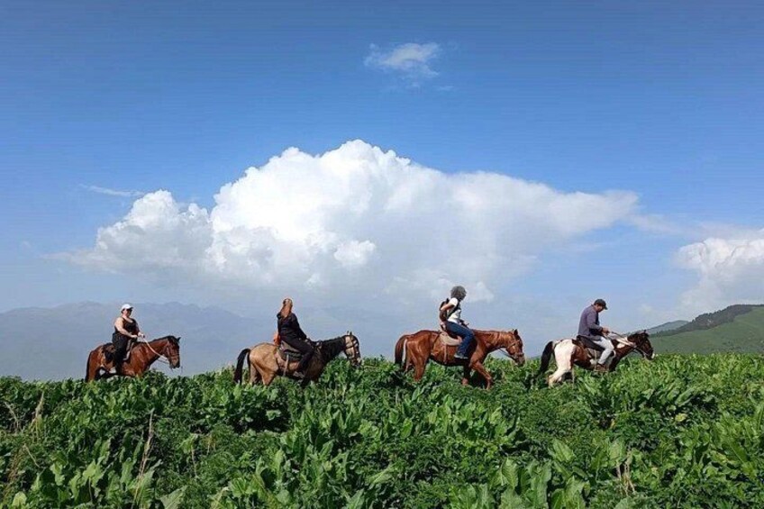From Bishkek Horse Riding in Arashan Mountains 5