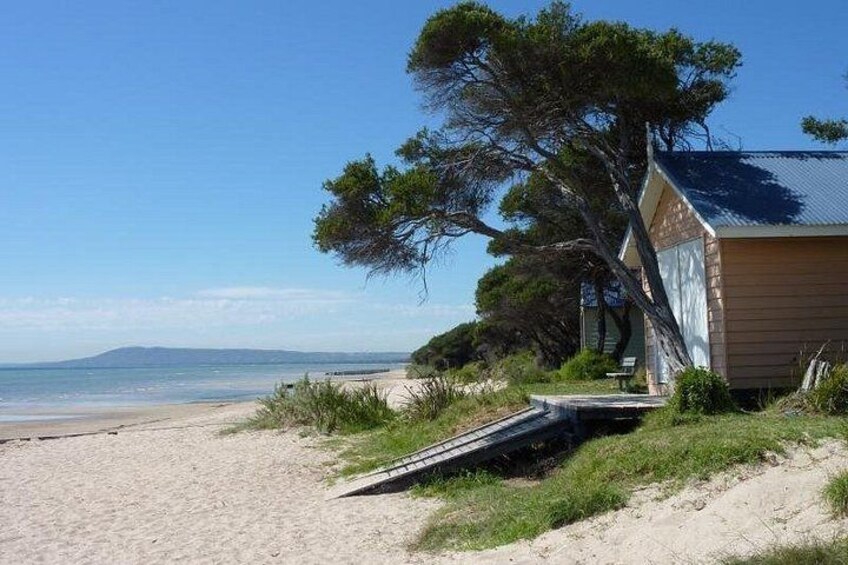 Bathing Boxes 1