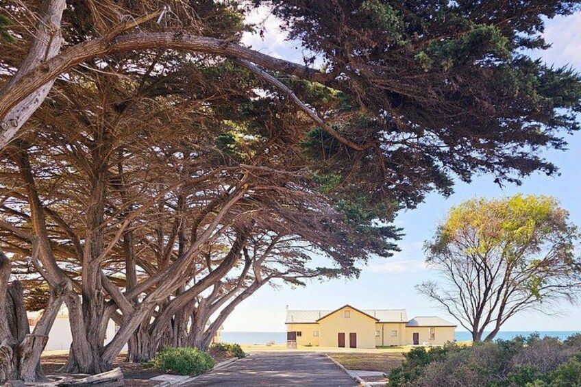 Quarantine Station 3