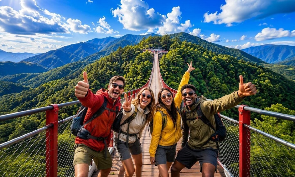 Picture 1 for Activity Seoul: DMZ Tour, 3rd Tunnel, Suspension Bridge & NK Defector 2