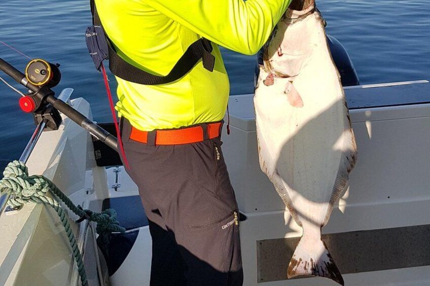 3 Hours Fishing Adventures in Alta Fjord 4