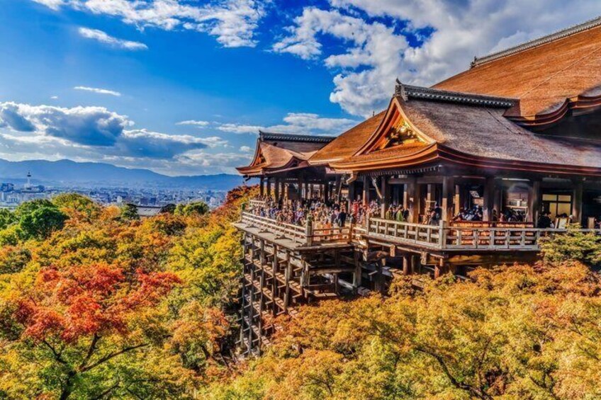 Best of Kyoto and Nara Highlights Day Tour from Osaka (7~9 spots) 5