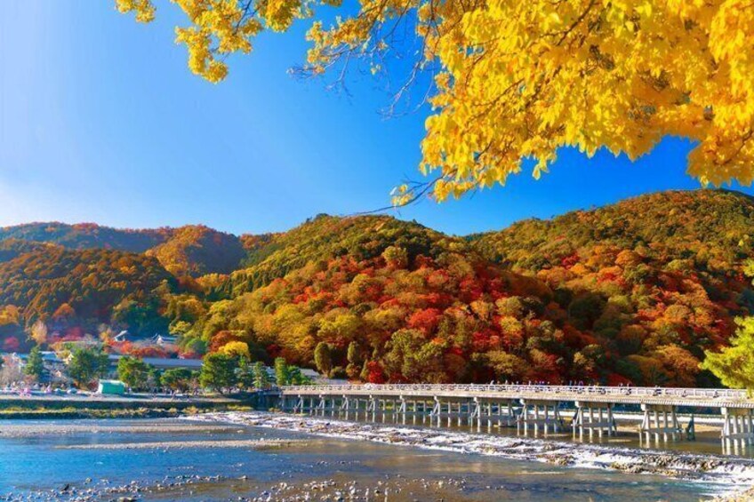 Best of Kyoto and Nara Highlights Day Tour from Osaka (7~9 spots) 4