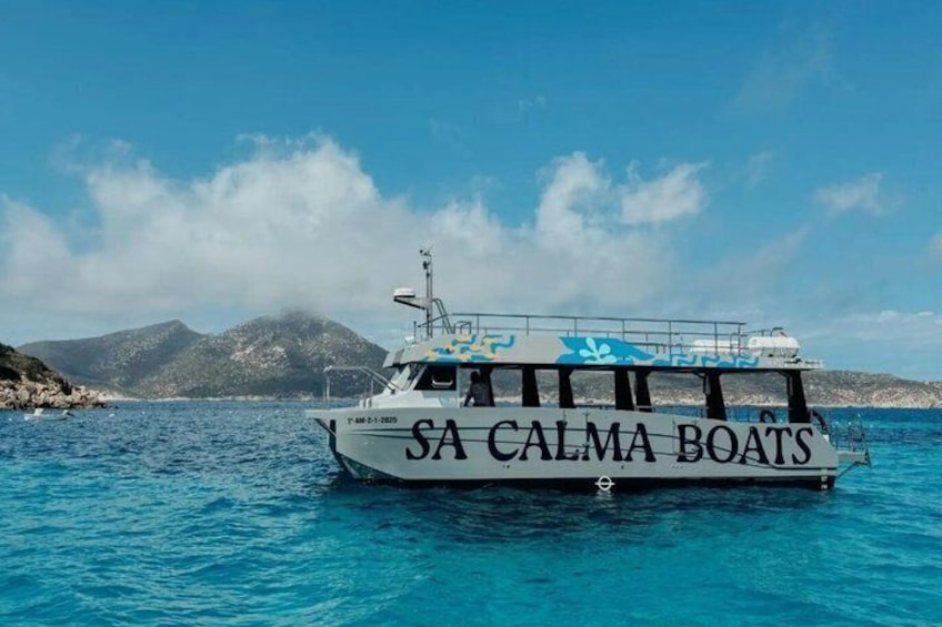 Dragonera Boat Tour from San Telmo 5