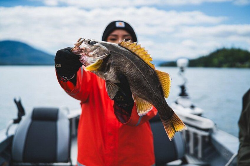 A person holding a fish on a boat with a lake and mountains in the background. 2