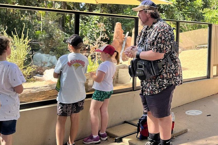 A zoo enclosure with a large animal, a glass barrier, and visitors observing. 3