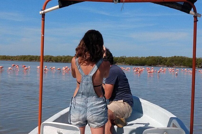 En båd med to personer, et vandareal med flamingoer og en fjerntliggende kystlinje. 1