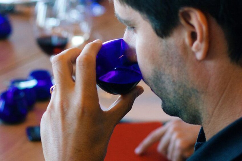 Discover Wine and Olive Oil Making Process 1