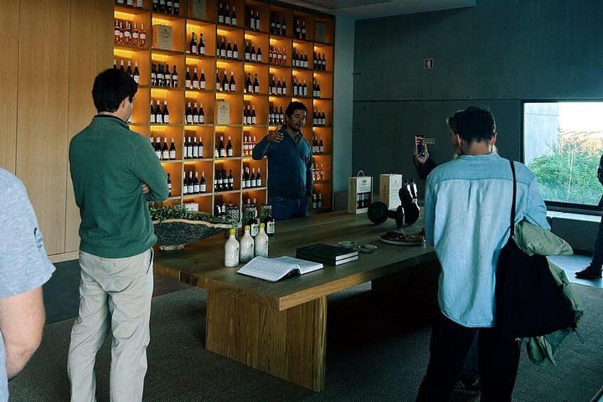 Discover Wine and Olive Oil Making Process 3
