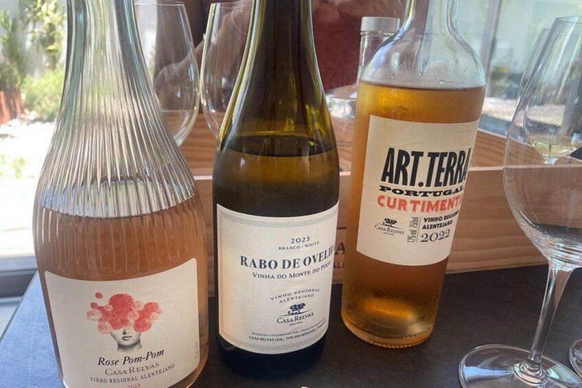 Discover Wine and Olive Oil Making Process 2