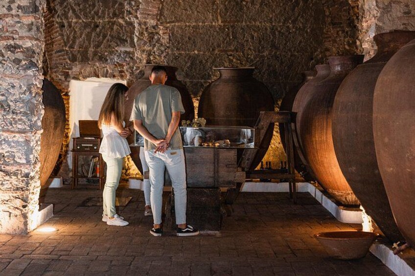 Guided Tour to Adega Museum Cella Vinaria Antiqua 5