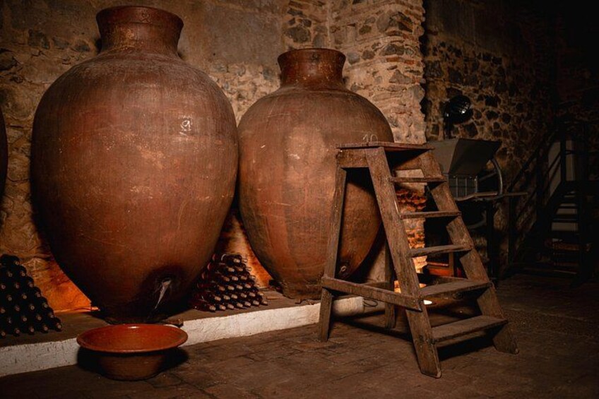 Guided Tour to Adega Museum Cella Vinaria Antiqua 3