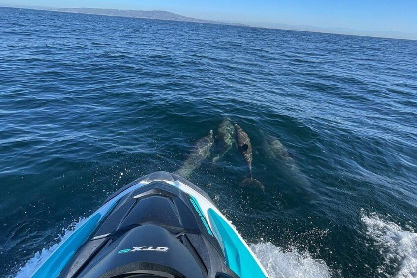 Guided Two hours Jetski Coastal Tour 5