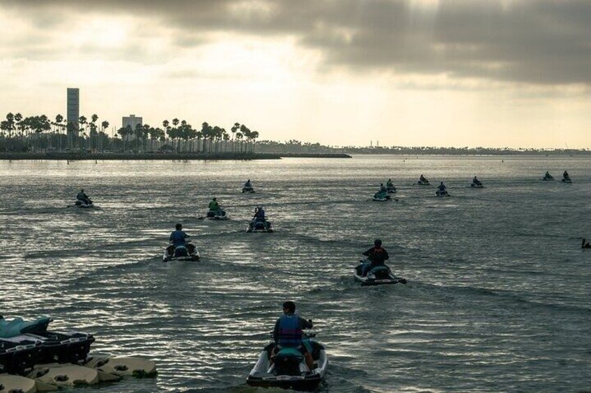 A group of jet skis on a body of water with a distant shoreline and palm trees. 1