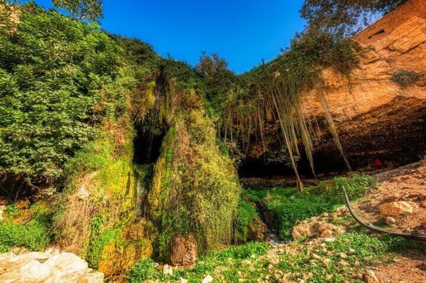 Moses Spring 5